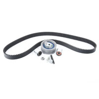 INA Timing Belt Kit EA113